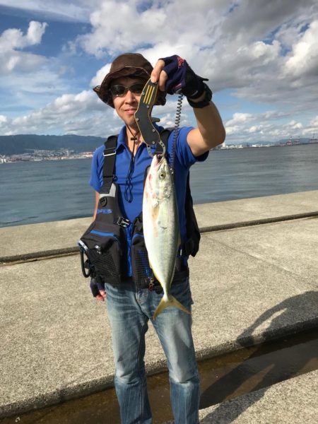 ハマチ、太刀魚